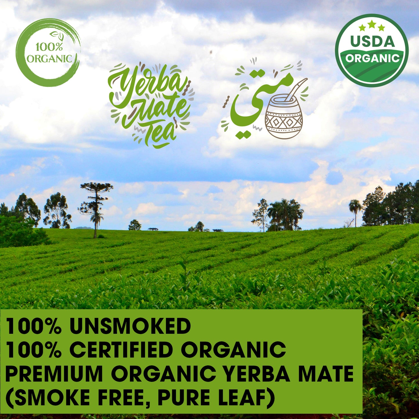 Organic Yerba Mate Tea Loose Leaf 400g (14 oz) Premium Unsmoked Organic Pure Leaf Traditional South American Yerba Mate New Large Leaf Cut No Dusts No Added Stems Loose